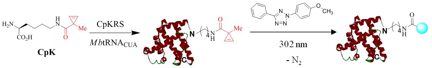 en-4-1.jpg en-4-1.jpg