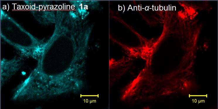 en-5-2.jpg en-5-2.jpg